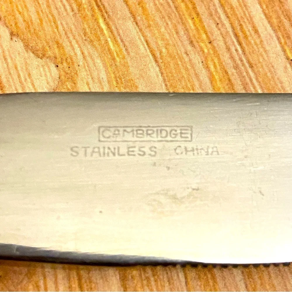 Cambridge Stainless Steel Flatware 3 Knives and 2 Spoons.